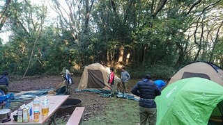 DSC_0274.jpg