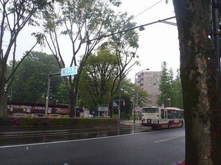 P4230041.jpg