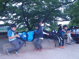 P6100456.jpg