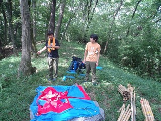 P7130327.jpg