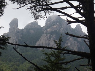P8110472.jpg