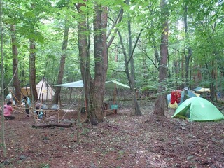 P8110660.jpg