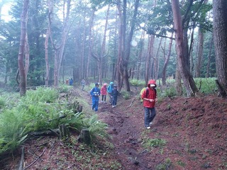 P8120718.jpg