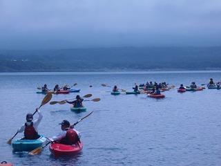 P8130779.jpg