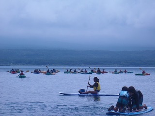 P8130781.jpg