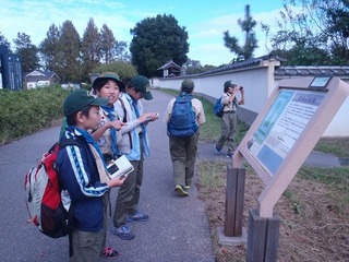 PA130664.jpg