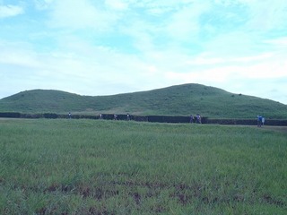 PA130666.jpg