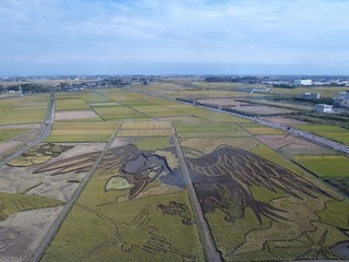 PA130681.jpg