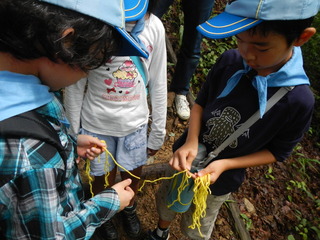 DSCN2424.JPG
