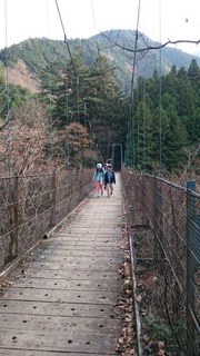 image-70040.jpeg