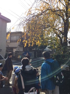 image-8171c.jpeg