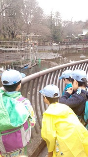 image-9f39a.jpeg