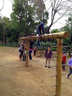 IMG_1686.jpg
