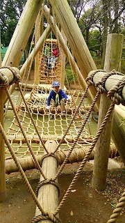 IMG_1704.jpg