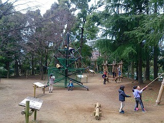 IMG_1724.jpg