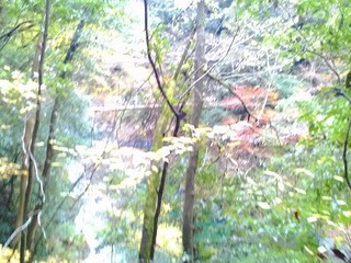 P_20151123_122354.jpg