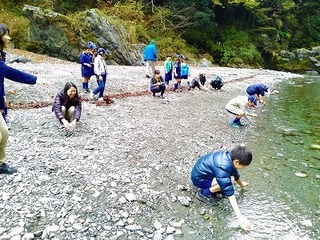 P_20151123_132154.jpg
