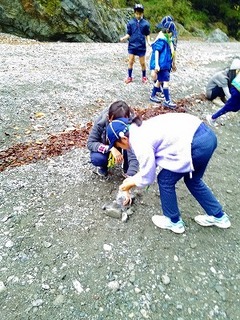 P_20151123_132208.jpg
