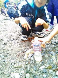 P_20151123_132600.jpg