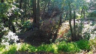 P_20160221_093131.jpg