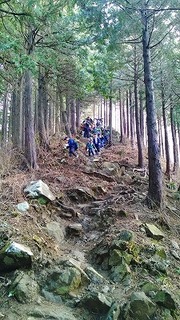 P_20160221_123742.jpg