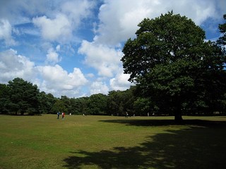 route-3.jpg