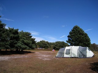 site-4.jpg